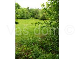 Meadow, Sale, Petrinja, Cepeliš