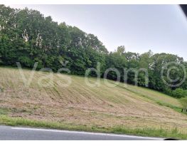 Plot for construction, Sale, Petrinja, Novo Selište