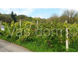 Agricultural plot, Sale, Petrinja, Petrinja