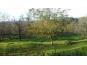 Agricultural land, Sale, Petrinja, Grabovac Banski